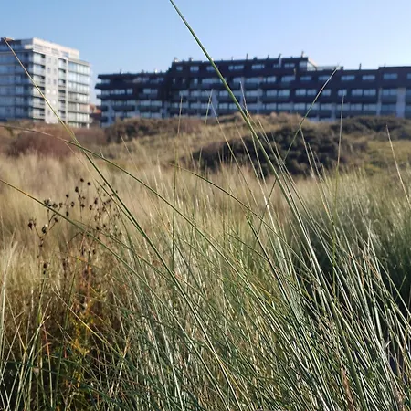 Gaul4 Within Walking Distance Of The Apartment Oostduinkerke